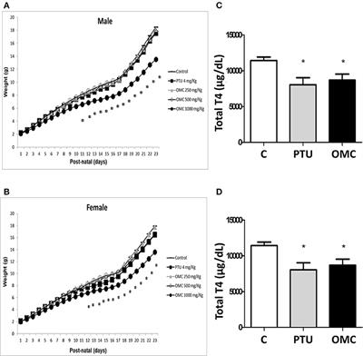 Exposure to the UV Filter Octyl Methoxy Cinnamate in the Postnatal Period Induces Thyroid Dysregulation and Perturbs the Immune System of Mice